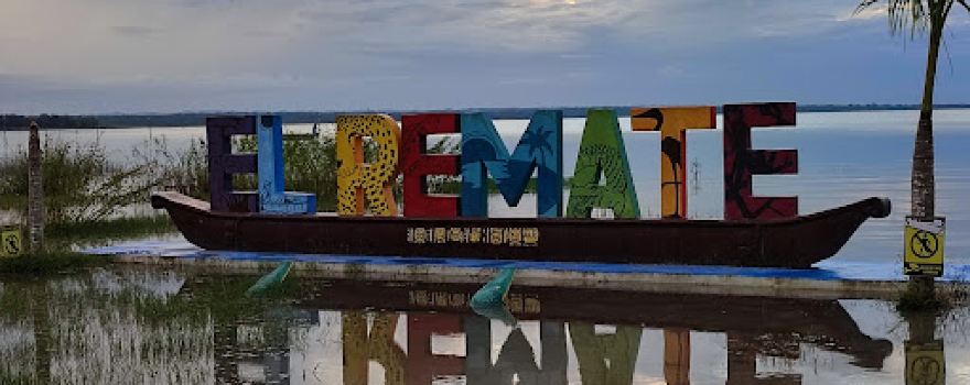 El remate, flores