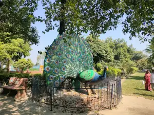 Nature and nakhshtra park