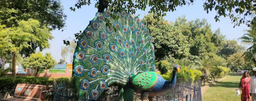Nature and nakhshtra park