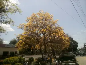 Plaza Bolivar SRO