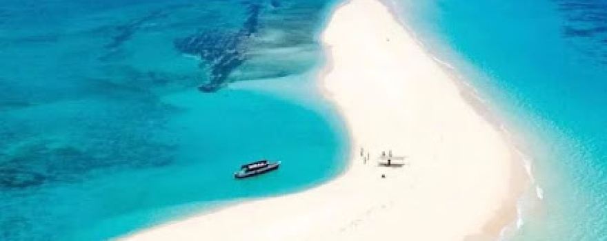 Delphin Tour