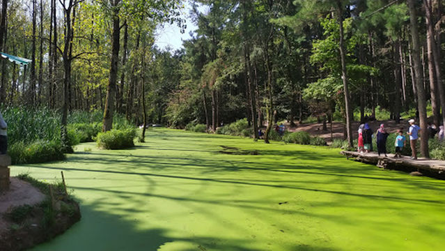 Saravan Forest Park - Phase 2