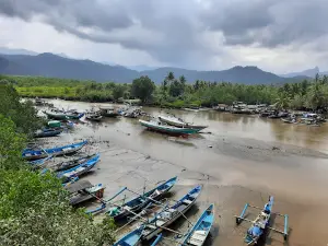Hutan Mangrove Pancer Cengkrong