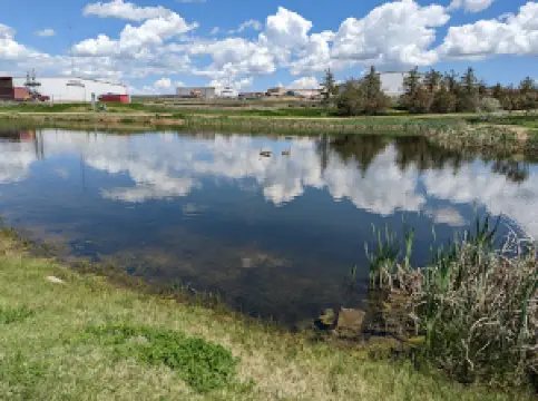 Wright Rest Area Dog Park