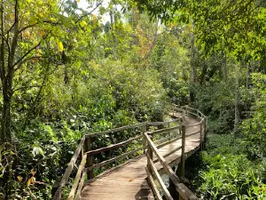 Parque Ecológico Jatobá Centenário