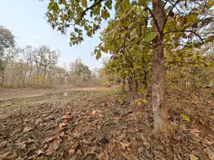 Ajaypal kila ki Sidiya