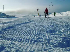 ГЛК Еликты Парк / Elikti Park