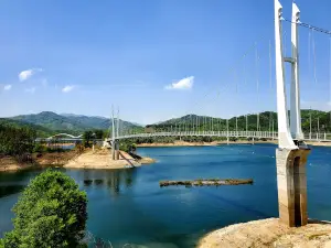 Rainbow Zip Wire