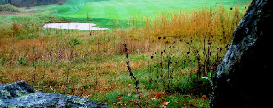 Acushnet River Valley