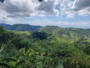 Finca agroturística La Protectora