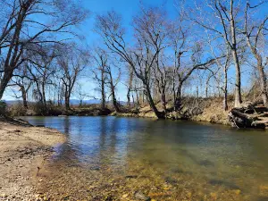 Mills River Dog Park