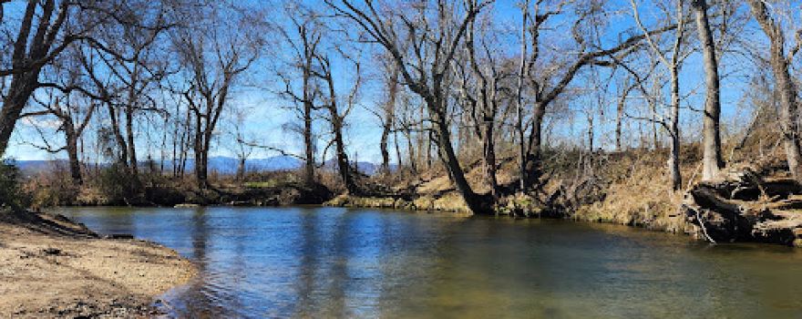 Mills River Dog Park