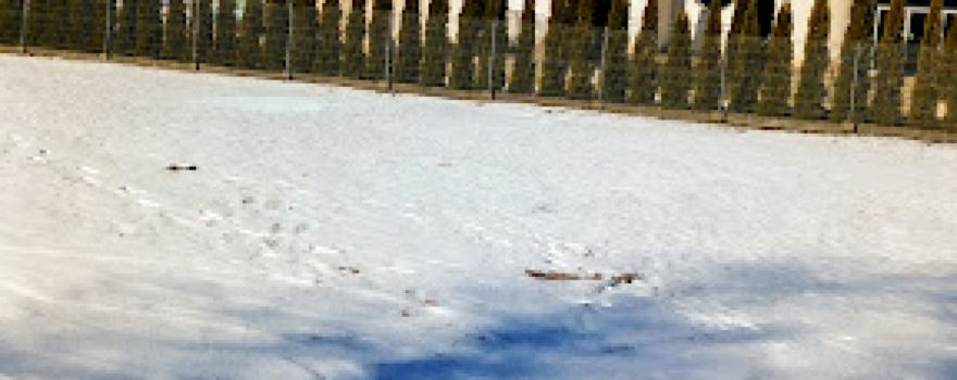 The pools complex "NEMO" in the Wilderness Estate