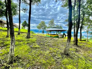 Jungli Liden Eco Park