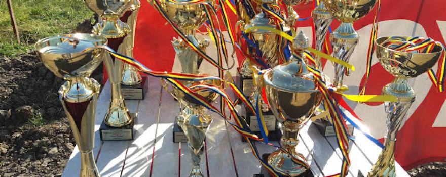 Stadionul satului Ulmu