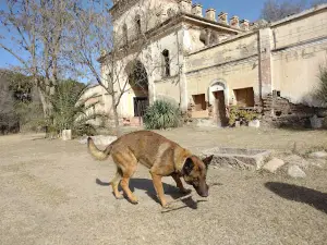 CASTILLO DE LA TOMA
