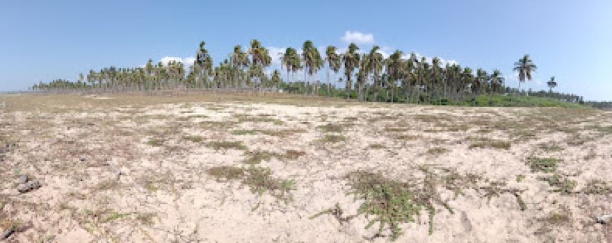 Mahauilla