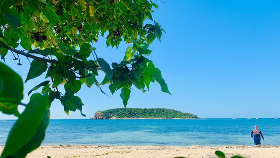 Vieques