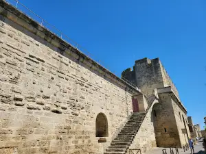 Aigues mortes