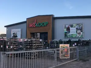 Welkoop Hoogeveen