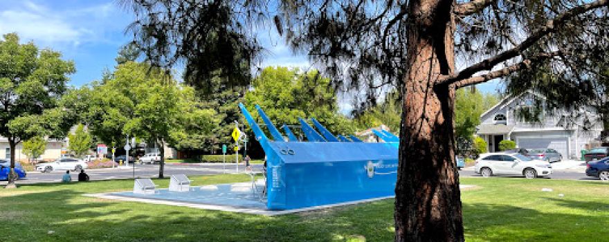 Tennyson Park