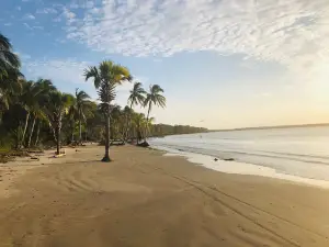 Playa el Bosque