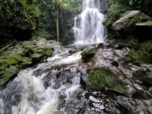 Braulio Carrillo National Park