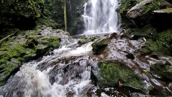 Braulio Carrillo National Park