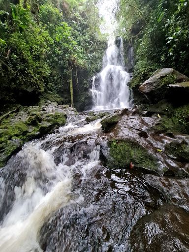 Braulio Carrillo National Park
