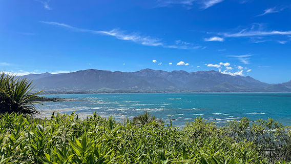 Kaikoura Seal Colony