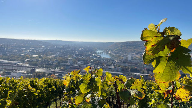 Blick über Würzburg