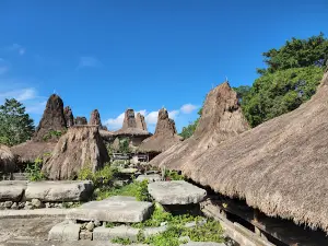 Kampung Tarung