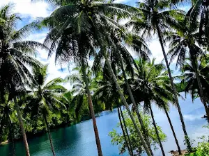 Pavuvu Island