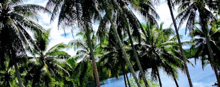Pavuvu Island