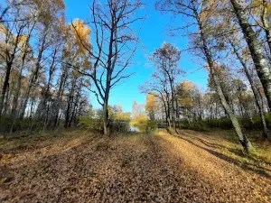 Naryshkinskiy Tsentral'nyy Park