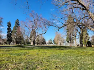Hawthorne Park Playground