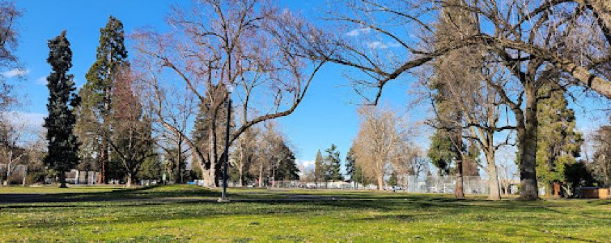 Hawthorne Park Playground