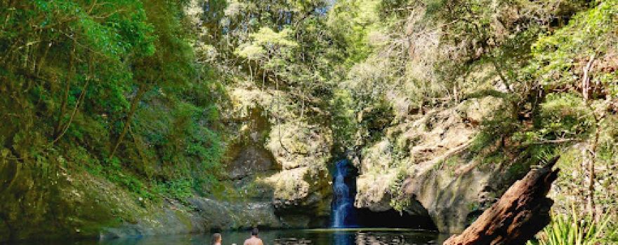 Potoroo Falls walk