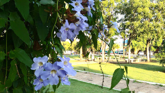 Praça do Restaurante Universitário - Praça Verde