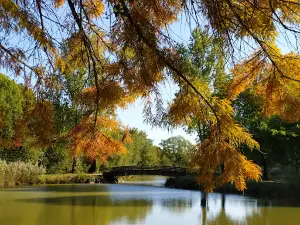 Parc Les Engoulevents du sud