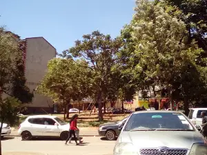 Kikuyu Park