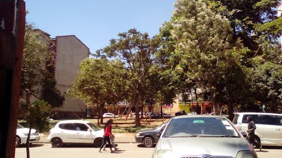 Kikuyu Park