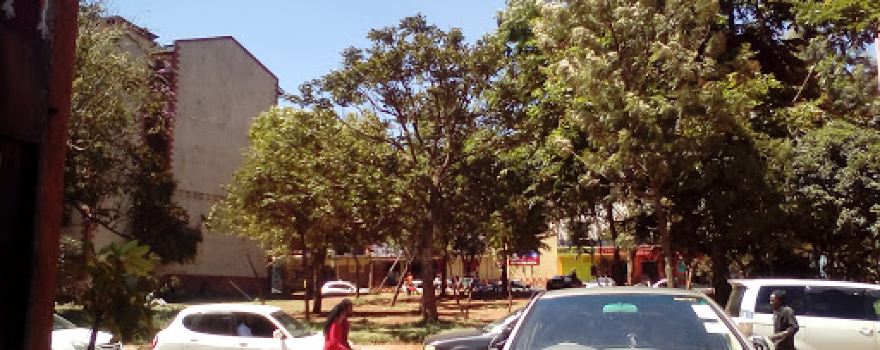 Kikuyu Park