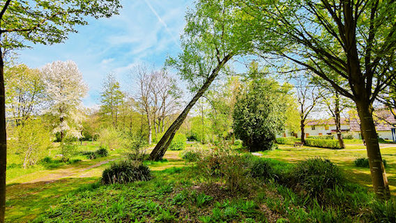 Löwensprudel Park