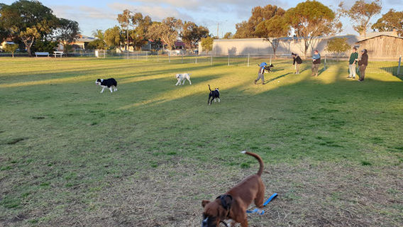 Johnstone Park Dog Park