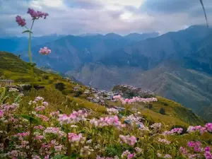 सिद्ध मस्ता (siddha masta)