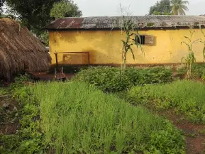 Mosquée de Kissidougou-Est