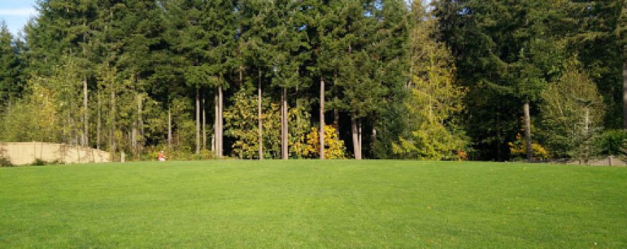 Azalea Park