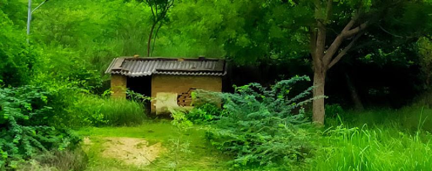 Kareel Vriksh Sthal