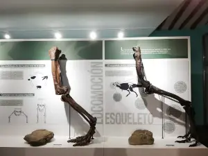 Centro Paleontológico de Enciso